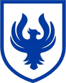 STEAM Academy Ravens logo